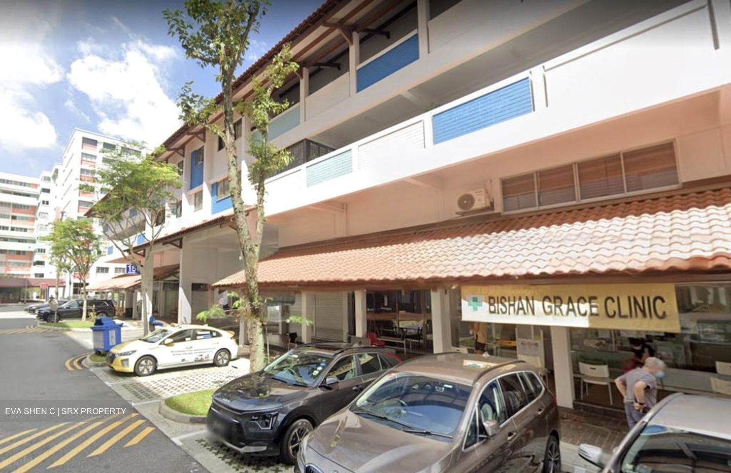 Bishan Green (D20), Shop House #456650101